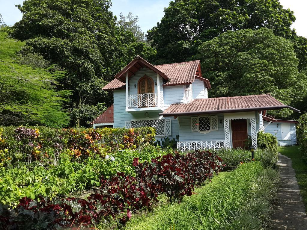Park Eden Bed&Breakfast Los Llanitos Zimmer foto