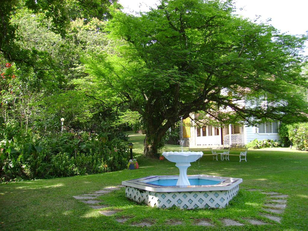 Park Eden Bed&Breakfast Los Llanitos Exterior foto